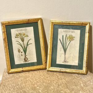 Flower Print Set