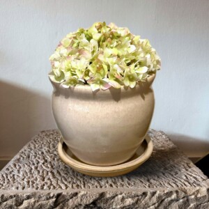 Honey Pot In Beige